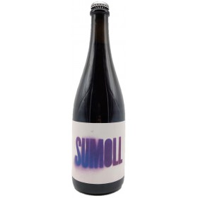 Cyclic Beer Farm Sumoll - Etre Gourmet