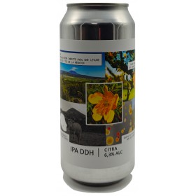 Popihn / Dalons IPA DDH Citra